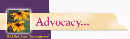 Advocacy