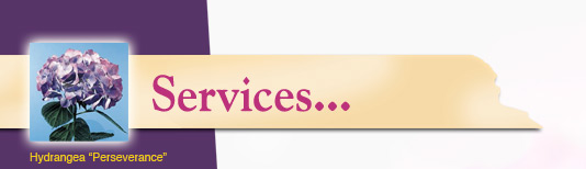 Services